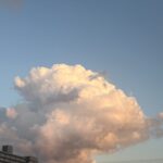 わくわくさん